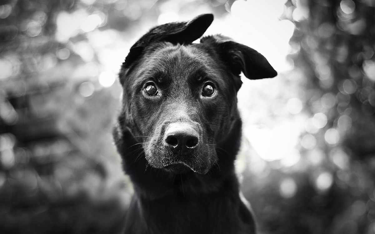 KK8 VIP Club – Premium Benefits for Loyal Players